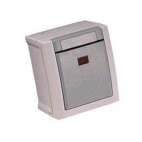 INTERRUPTEUR AVEC TÉMOIN LUMINEUX, INTERRUPTEUR VIKO 90591023-DE PACIFIC GRIS