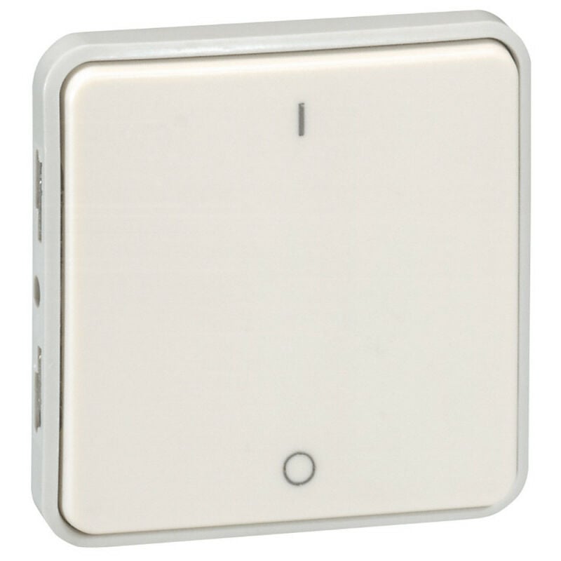 Interrupteur bipolaire Plexo composable IP55 10AX 250V blanc (069627)