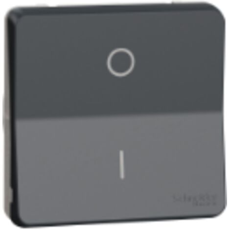 Interrupteur bipolaire - Composable - Connexion auto - Gris - Mureva Styl - MUR35034 - Schneider