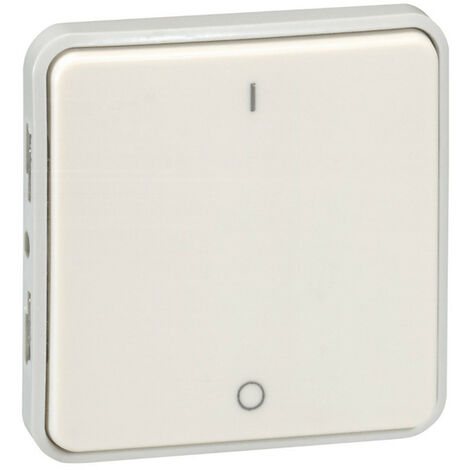 Interrupteur bipolaire Plexo composable IP55 10AX 250V blanc (069627)