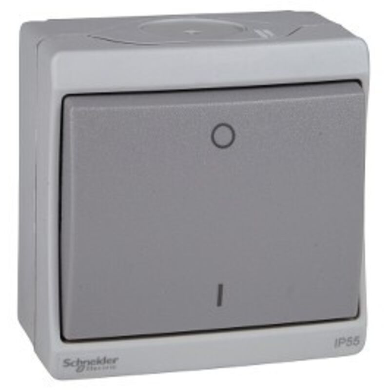 Schneider Electric - Schneider ENN35033 Mureva - Interrupteur bipolaire - gris - en saillie - IK07 IP55 Schneider Electric - Schneider ENN35033 Mureva - Interrupteur bipolaire - gris - en saillie - IK07 IP55