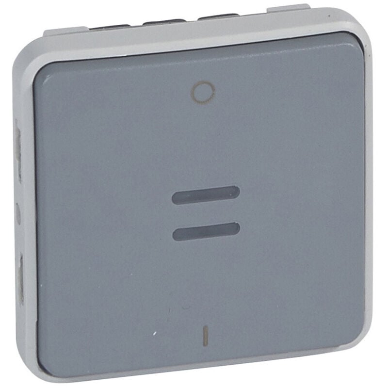 Legrand - Interrupteur bipolaire témoin Plexo composable IP55 10AX 250V gris (069532)