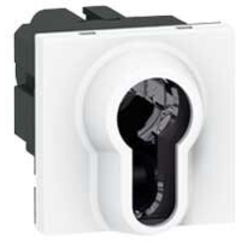 Legrand - Interrupteur à clé barillet européen Mosaic 2 modules avec 2 positions par contact bipolaire 6A 250V blanc 077074