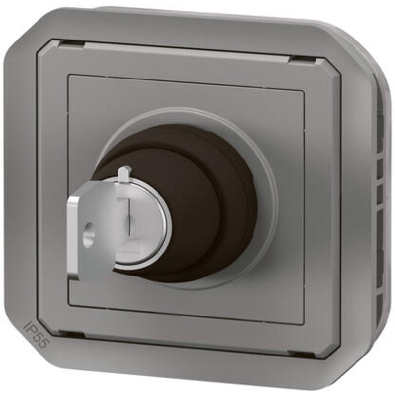 Interrupteur à clé 2 positions plexo 10A 250V avec enjoliveur gris Legrand 069534L