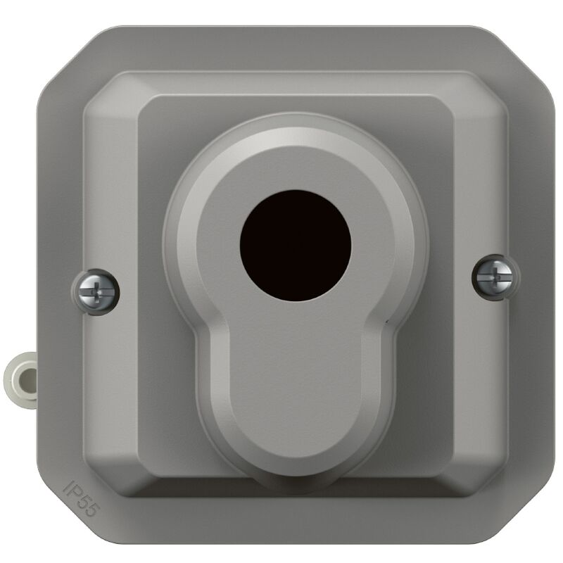 Legrand - interrupteur à clé - ronis - 3 positions - gris - composable plexo 069535l