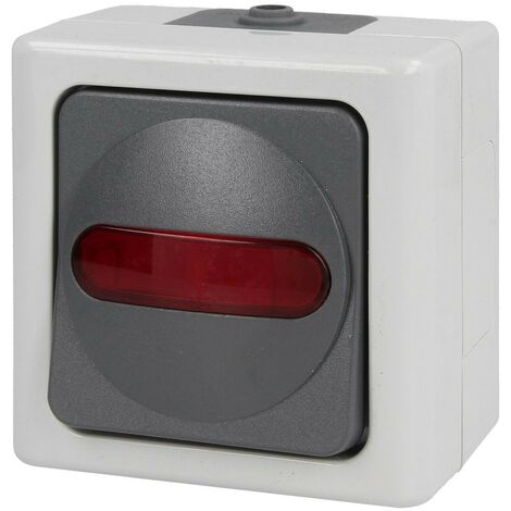 Interrupteur de contrôle BLUE ELECTRIC®