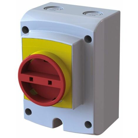 Interrupteur de proximité - Coffret 3 pôles 40 Ampères pour appareils en monophasé (grand modèle) - IP 65 - Bois