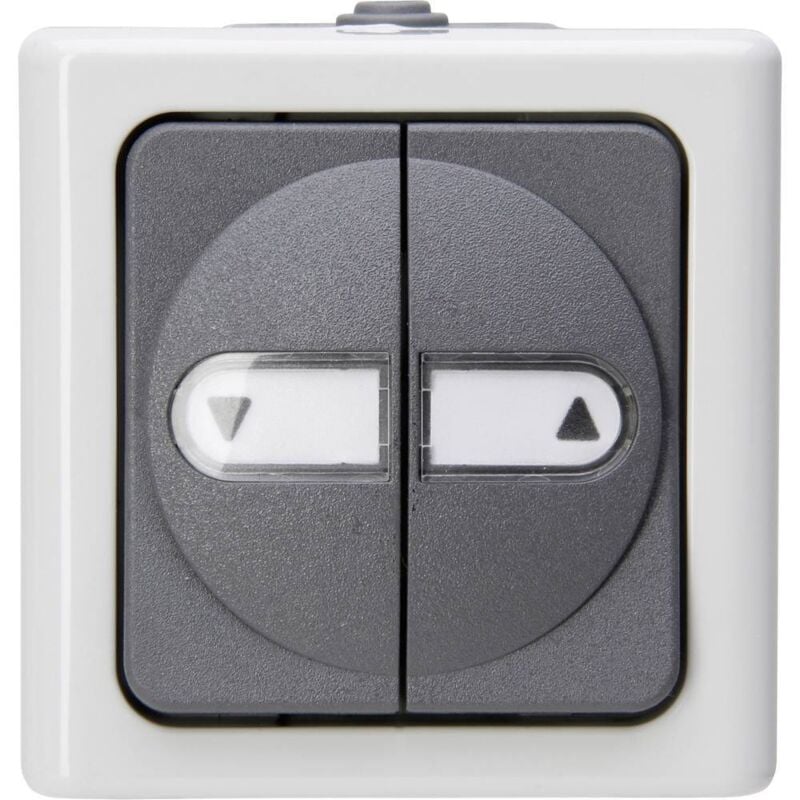 Interrupteur de store blue electric® gris