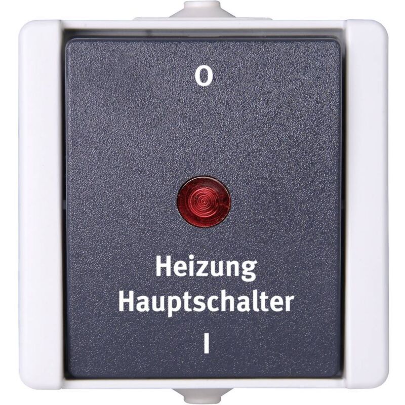 541356004 1 pièce Gamme d'interrupteurs pour pièce humide complet Interrupteur d'arrêt d'urgence pour chauffage proAQA gris 1 pc(s) X915761 - Kopp