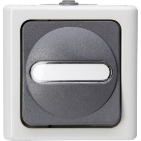 Interrupteur/inverseur Kopp 560756009 BlueElectric gris