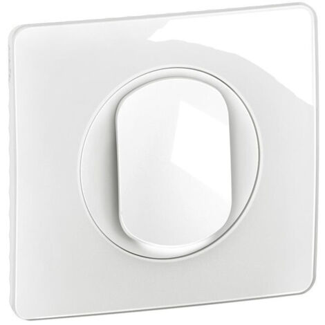 Interrupteur lumineux Céliane 10AX complet Blanc (CG1001)