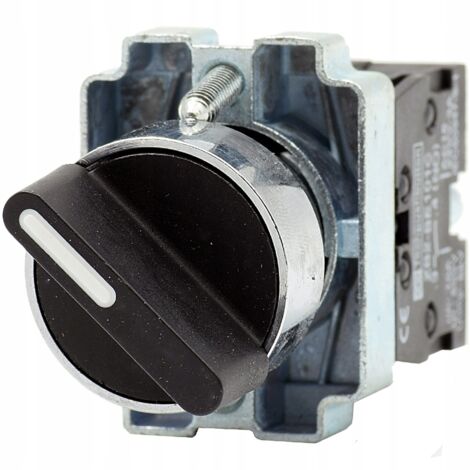 INTERRUPTEUR MARCHE/ARRÊT, BOUTON STYLO, BOUTON STYLO, 1-0-2, 3 POSITIONS