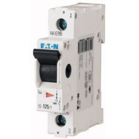 Interrupteur-sectionneur modulaire 100A 1P IS-100/1 276282