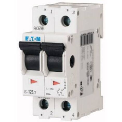 Interrupteur-sectionneur modulaire 125A 2P IS-125/2 276287