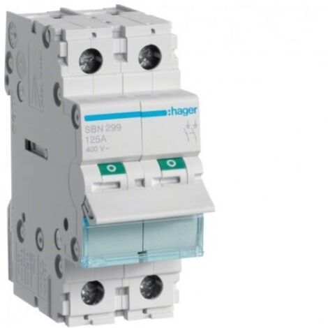 Interrupteur-sectionneur modulaire 125A 2P SBN299