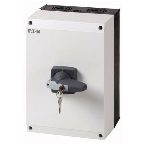 Interrupteur-sectionneur tripolaire 160 A avec poignée rotative grise Serrure-cylindre Montage EATON DMM-160/3/I5/C-G