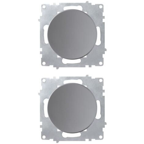 Interrupteur simple allumage (lot de 2) - gris
