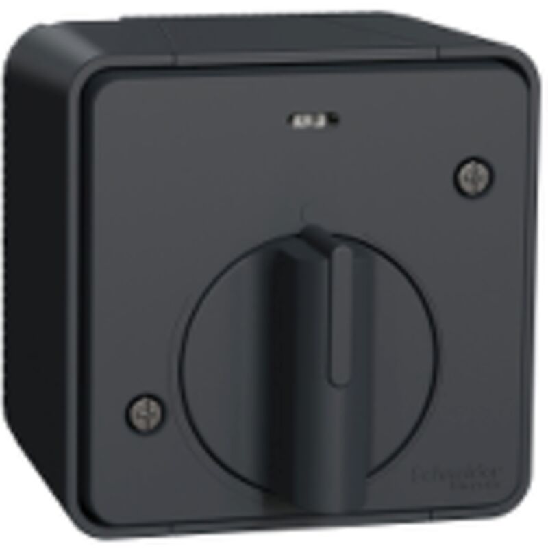 Schneider Electric - Mureva Styl - Interrupteur temporisé led - saillie - IP55 - IK08 - - MUR35067