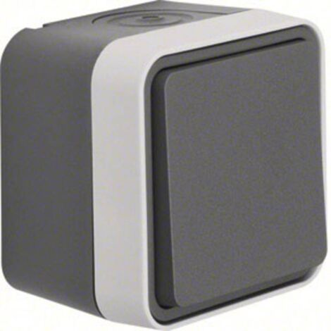 Interrupteur va-et-vient Berker 30763505 W.1 apparent gris, gris clair