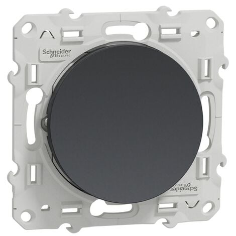 Interrupteur vaetvient Schneider Electric ODACE 10 A à vis  S540204