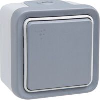 Interrupteur va-et-vient Plexo IP55 saillie 10AX 250V - gris