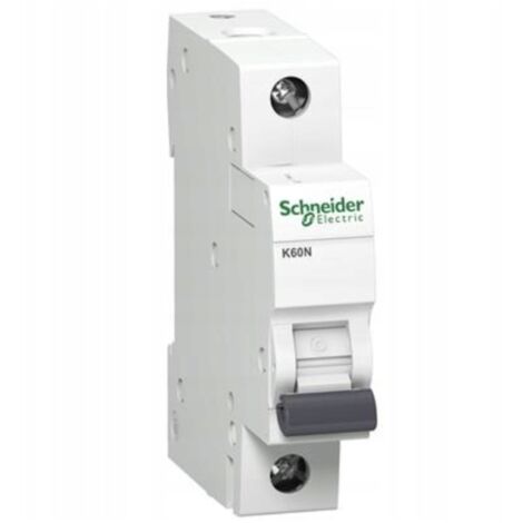 Interruptor automático de sobrecorriente K60N B 6A 1P 1M 6KA ACTI 9 A9K01106