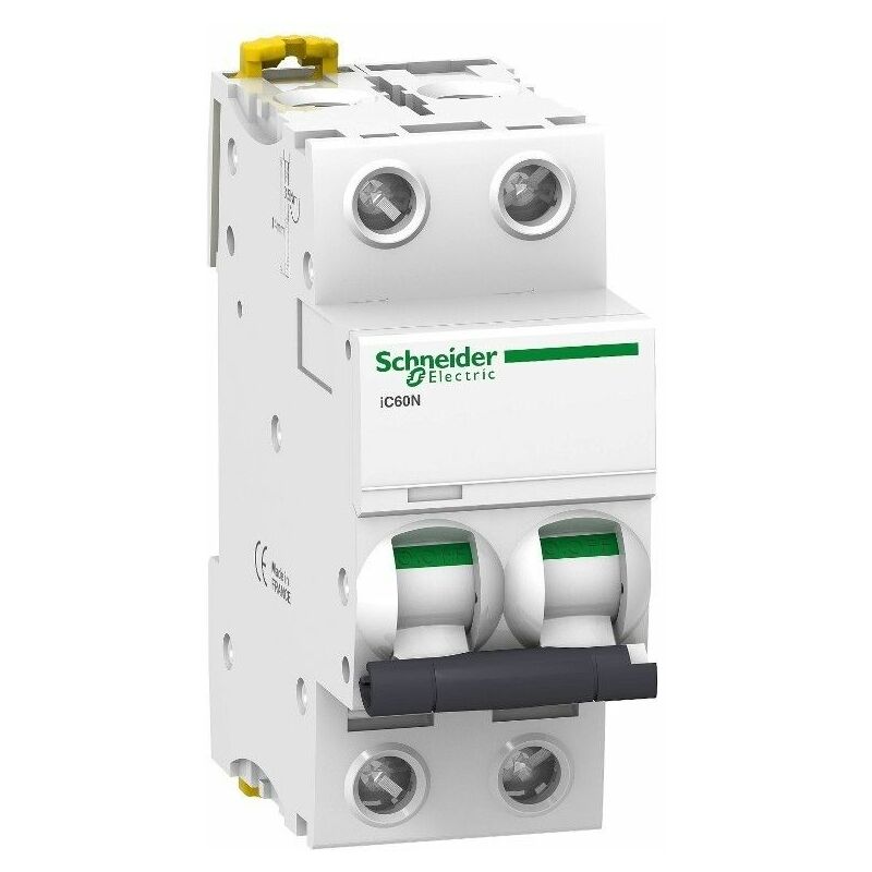 

Schneider Electric - Interruptor Automatico C60N 2P 6A Schneider A9F79206