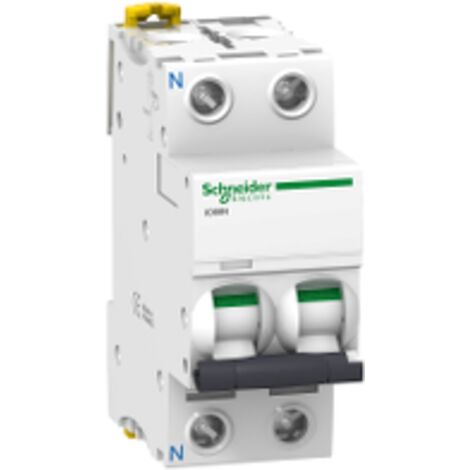 Interruptor automático magnetotérmico iC60N 1P+N 6A curva-C