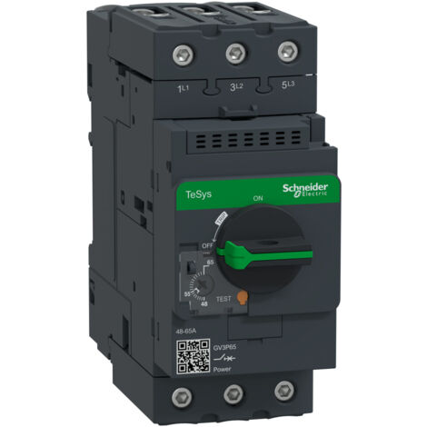 Interruptor automático Telemecanique GV3P 48-65A 3P GV3P65