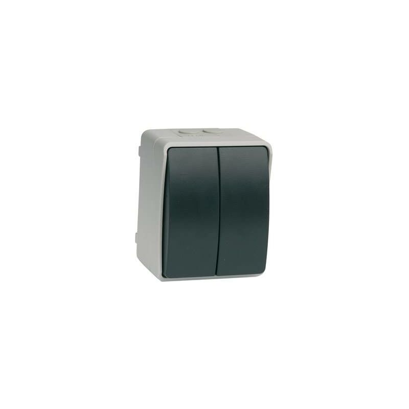 

Interruptor Doble 10 A 835808 Blist
