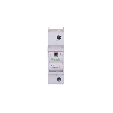 Interruptor fusible 1P 63A D02 MGN02163