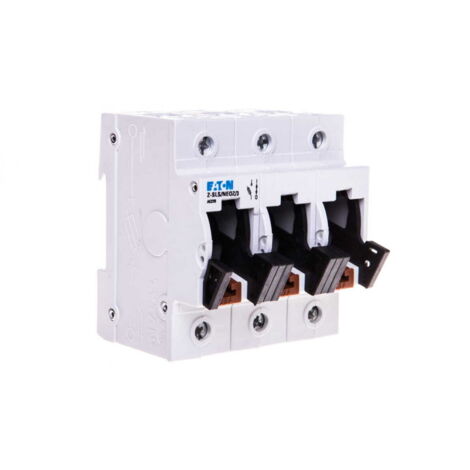 Interruptor fusible 3P 63A D02 ZSLSNEOZ3 248234