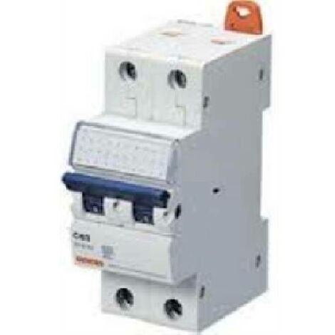 Interruptor magnetote'rmico 2 p curva c 10a 6ka gw92046