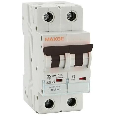 Interruptor Magnetotérmico Industrial Maxge 2 Polos 10-40A 10kA - Intensidad 10A