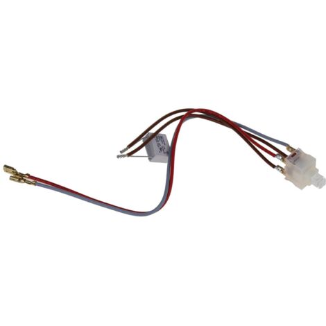 Interruptor on-off de 2 polos para aspirador NILFISK ADVANCE 22131200
