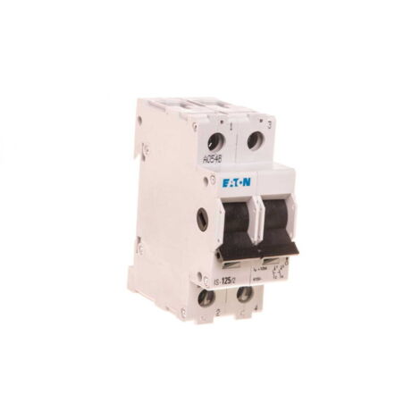 Interruptor seccionador modular 125A 2P IS1252 276287