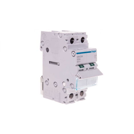 Interruptor seccionador modular 125A 2P SBN299