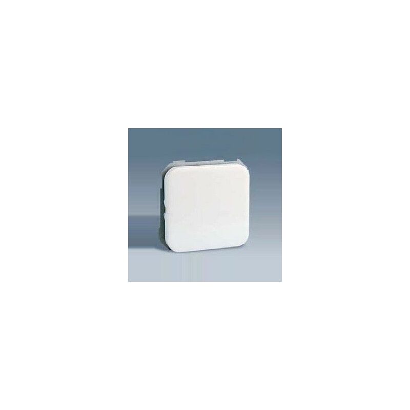 

Interruptor Unipolar Blanco Nieve 31101-30