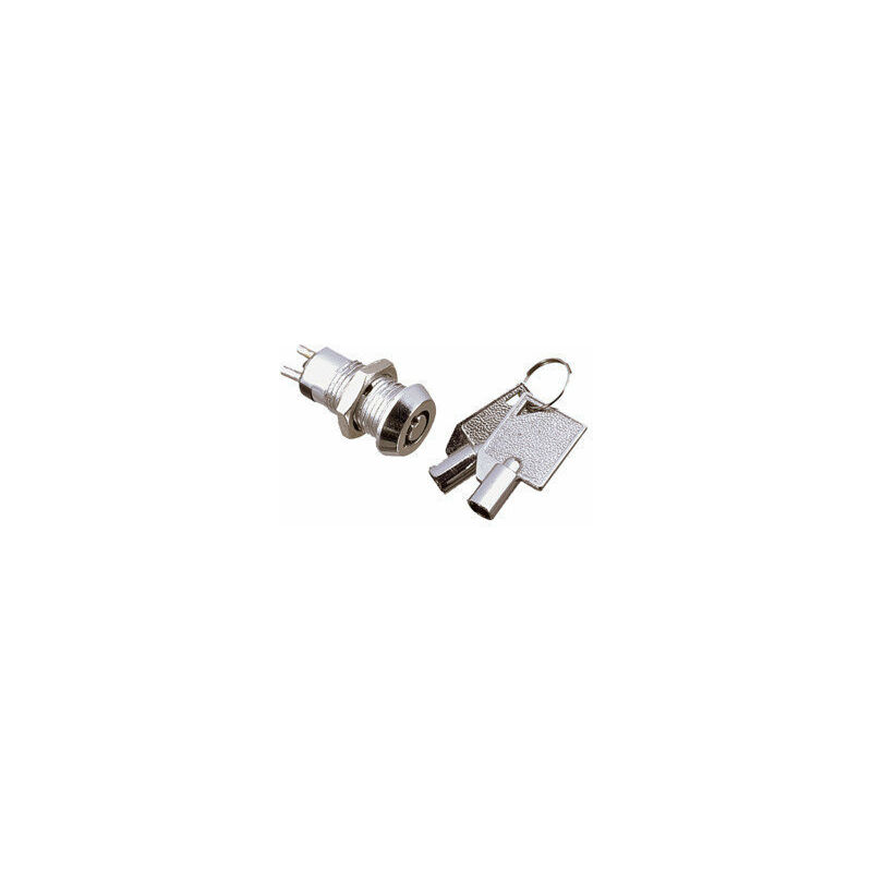 Image of Electro Dh - Interruttore a chiave a tubo miniaturizzato on - off per chiavi a tubo miniaturizzato 250V 11.951/2 8430552019526