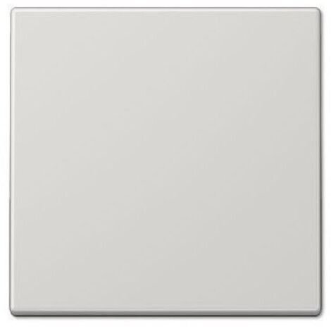 Interruttore a chiave, interruttore, croce o pulsante GRIGIO GRIGIO JUNG LS 990 LG