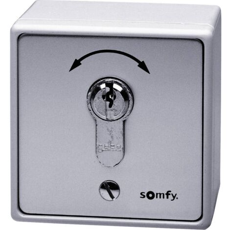 Interruttore a chiave Somfy grigio per automazione del cancello