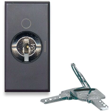 Interruttore a chiave tekla s44 colore grigio 2p 10ax 250v finitura opaca 1 modulo ave 445071