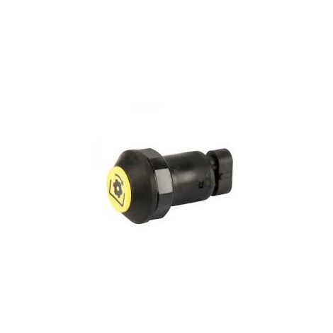 Interruttore a pulsante Pneutron Giallo