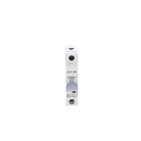 Interruttore automatico 1P B 40A 6 xPole Home HN-B40/1 194825