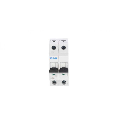 Interruttore automatico 2P C 4A 6kA AC PL6-C4/2 286563