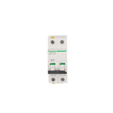 Interruttore automatico 2P D 25A 6kA AC iC60N-D25-2 A9F05225