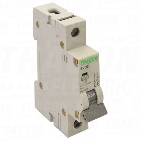 Interruttore automatico FUSE 25A B 1P TRACON EVOZ1B25
