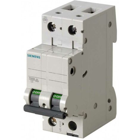 Interruttore Automatico Magnetotermico 2A 6kA 2PSIE5SL62027BB
