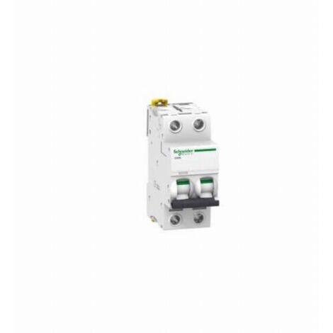 Interruttore automatico magnetotermico iC60N 2P 50A curva-D - SCHNEIDER ELECTRIC