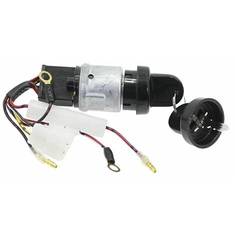 Interruttore Codici originali 712118 BRIGGS & STRATTON